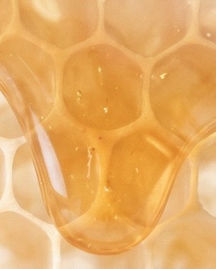 raw honeycomb, macro